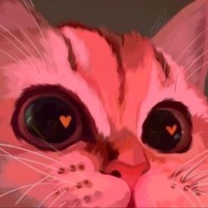 Meet your Posher, Dallyy